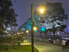 -武汉两江游览·夜游长江(汉口粤汉码头)