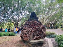 -海口火山口国家地质公园