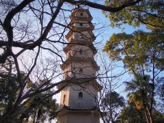 -江心屿景区