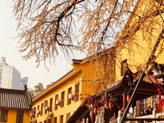 -宝通禅寺