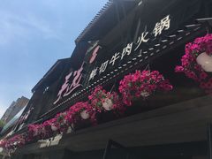 -手选潮汕鲜活牛肉火锅(二七广场店)