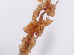 -邢氏老太太烤串(北兴街店)