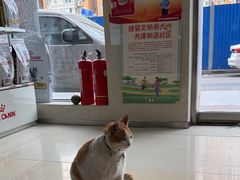 -宠福鑫动物医院(立水桥分院)