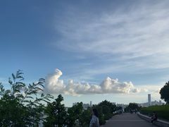 -深圳湾公园(南山区)