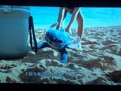 -鸿通城购物中心