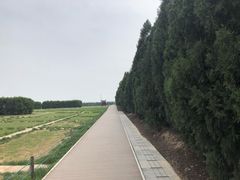 -汉景帝阳陵博物院
