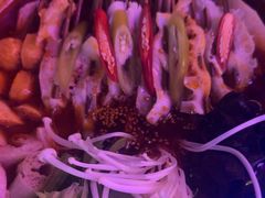 -阿亮烤翅(创始店)