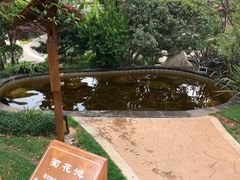 -七彩云南古滇温泉山庄