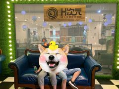 -H次元沉浸剧情密室(街道口店)