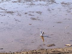 -辽宁团山国家级海洋公园