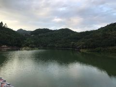 -广州白江湖森林公园