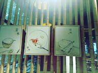 -南京航空航天大学(明故宫校区)