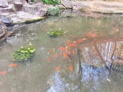 -虎跑公园