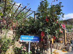 -里口山风景名胜区