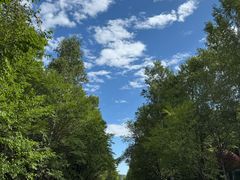 -汤旺河林海奇石景区