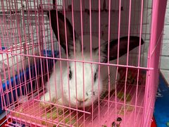 -大象厨房(重庆道店)