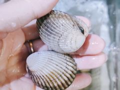-蟹老板的海鲜