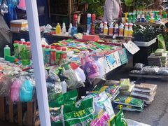 -哈尔滨道外花鸟鱼市场