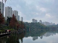 -重庆彩云湖湿地公园