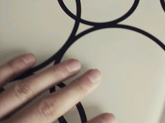 -莲洞本家