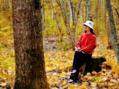 -五营红松林海景区