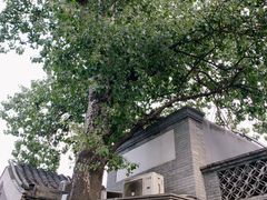 -裕德孚·非遗手切涮羊肉(东直门内大街店)