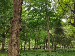 -玲珑塔公园