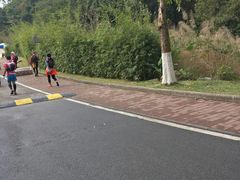 -火炉山森林公园