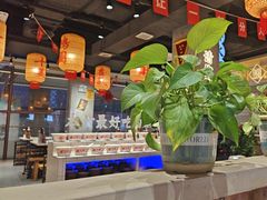 -伍师兄市井火锅(东部星悦天地店)