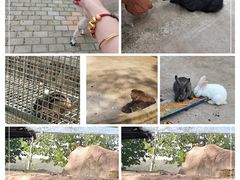 -北戴河集发农业梦想王国