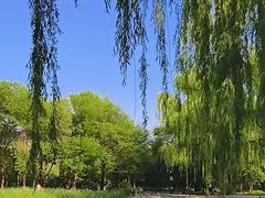 -玲珑塔公园