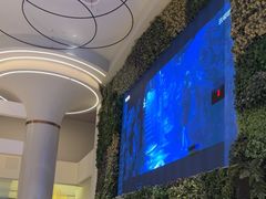 -浦乐汇·汤泉水世界