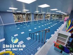 -蓝鲸奇亲子游泳俱乐部