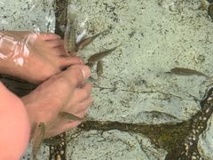 -湖泉半山温泉