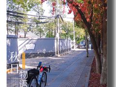 -香山公园