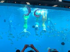 -瑞德姆美人鱼海底演艺主题餐厅(亚龙湾店)