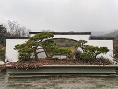 -杭州植物园
