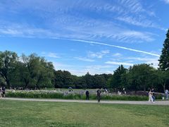 -上海共青森林公园