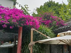 -院8里·少城记忆老川菜(宽窄巷子店)