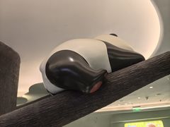 -眉州东坡·熊猫主题餐厅(枫蓝店)