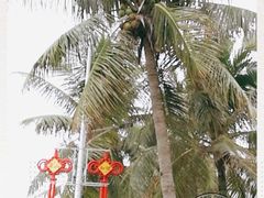 -霞山观海长廊