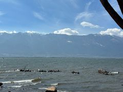 -大理洱海