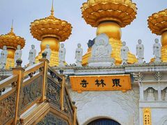 -上海东林寺(金山区)