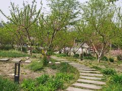 -洪湖家庭农场·团建·露营·会议