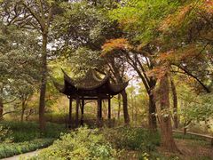 -杭州植物园