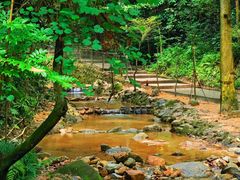 -火炉山森林公园