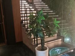 -新紫霞养生·影院足道·SPA(金山区店)