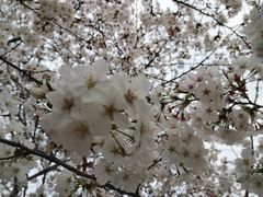 -玉山公园
