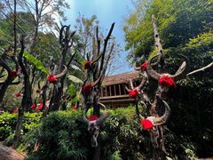 -云南民族村