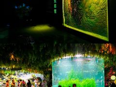 -海合安成都极地海洋公园